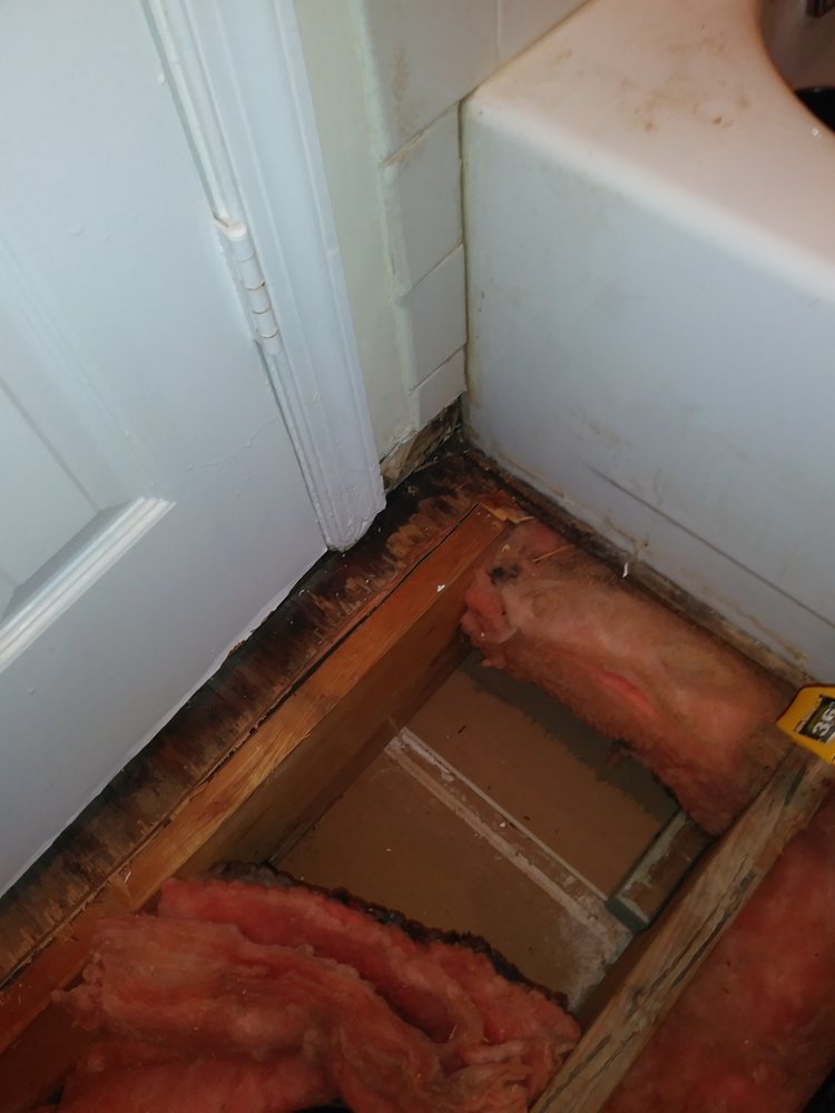 Ebright Engineering - mold inspector in Townsend, DE