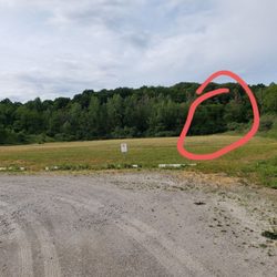 Beekman Dog Park at Doherty Park - The blue trail continues beyond the big field into the woods. Signature needs to provided along the roadway up the hill and on the field.