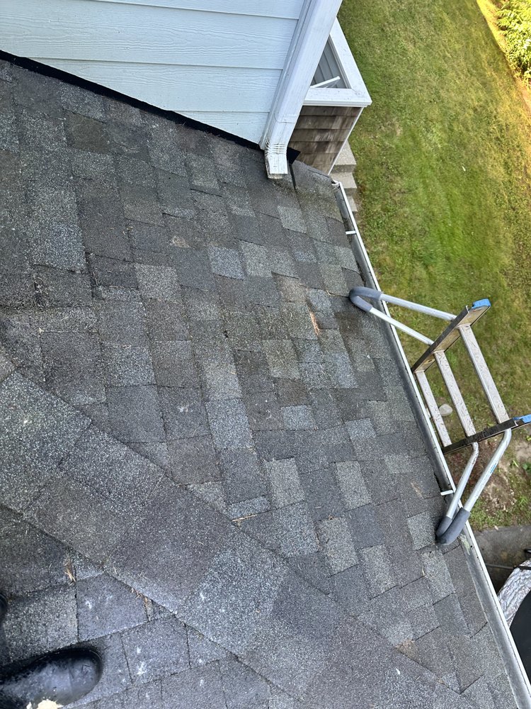 Slide of Apex Pro Kleening