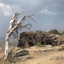 Photo of Tam McArthur Rim Trail