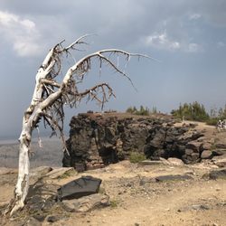 Tam McArthur Rim Trail