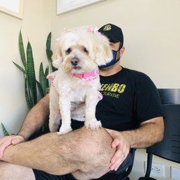 Hair grooming Hair grooming