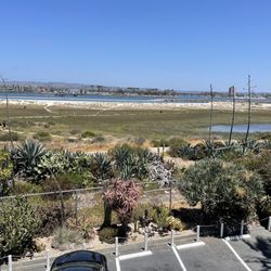 Ocean Beach Dog House - From the balcony of our suite!