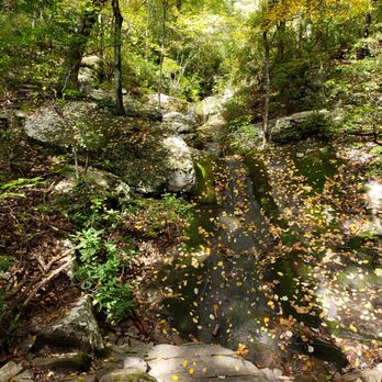 Douthat State Park - Blue Suck Falls - Parks Near Me - Millboro, Virginia