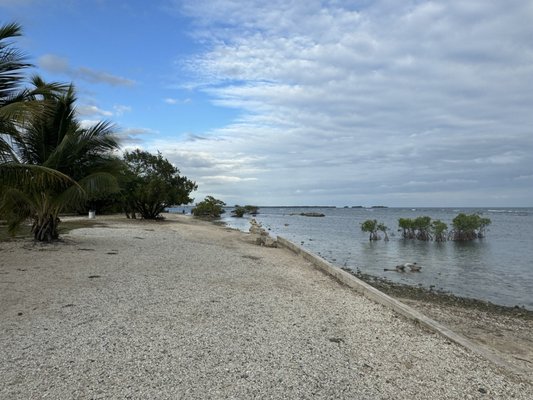 La Guancha by null