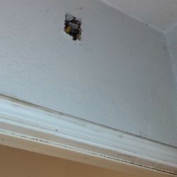 New Beginnings Supportive Living Service LLC - Exposed wires never been fixed