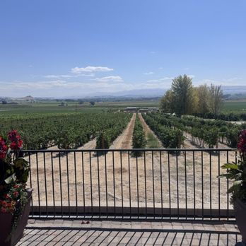 Koenig Vineyards - Vineyard - Distilleries Near Me - Caldwell, Idaho