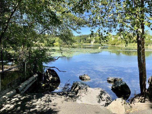 Fresh Pond by null