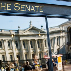 The Senate