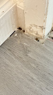 Home Care Collective