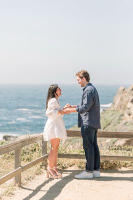 Point Lobos State Natural Reserve by null