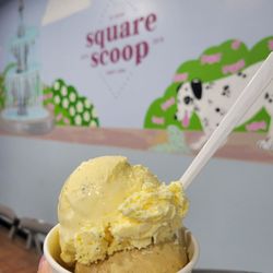 Square Scoop - Double scoop!