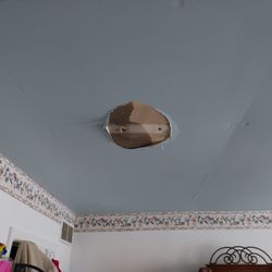 Dustin Hiser: Allstate Insurance - Hole in ceiling created by All-State Agent - Dustin Hiser