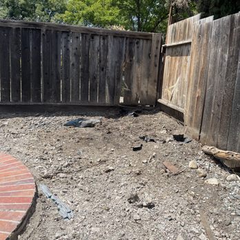 Apex Tree Care - After Yucca #1 - Tree Services Near Me