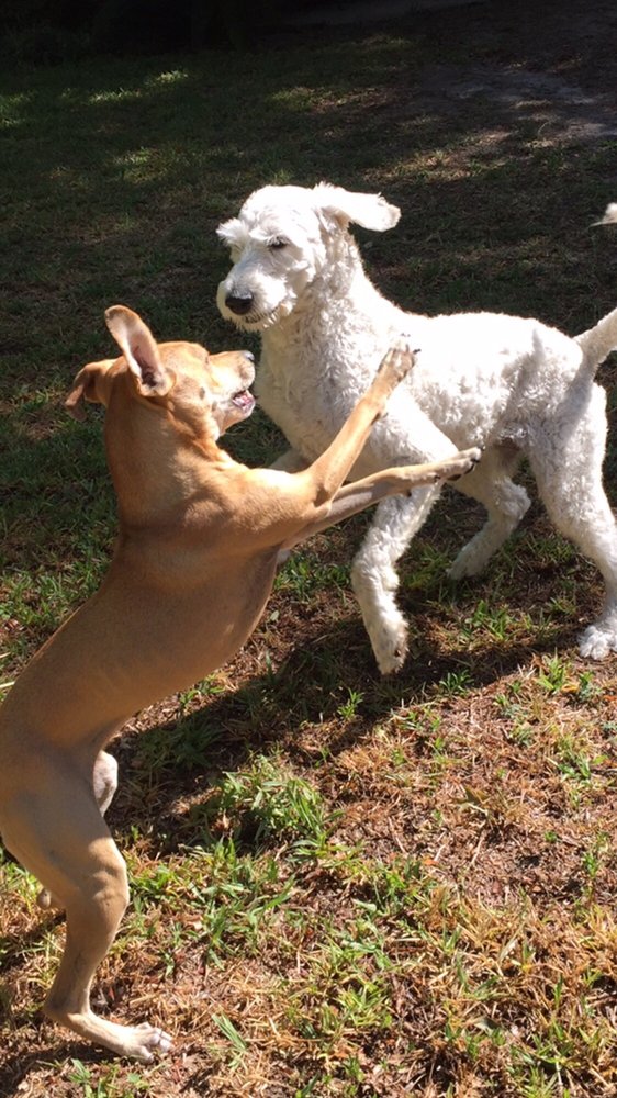 MICANOPY MODERN 10 Photos 212 NE Cholokka Blvd, Micanopy, FL Yelp