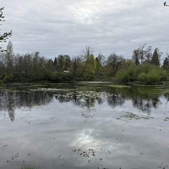 Delta Ponds - Hiking Near Me - Eugene, Oregon