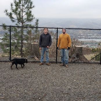 D&R Tree Service - Hard work solid job - Tree Services Near Me D&R Tree Service - Hard work solid job - Tree Services Near Me