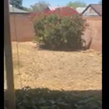 Scape Tech Landscape & Design - Landscaping Near Me - Gilbert, Arizona
