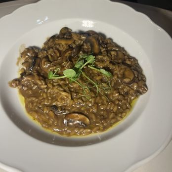 Casa Gianna - Mushroom Risotto - Italian Near Me - Miami, Florida Casa Gianna - Mushroom Risotto - Italian Near Me - Miami, Florida