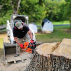 Johnston Tree Service - Finishing off a very large oak removal