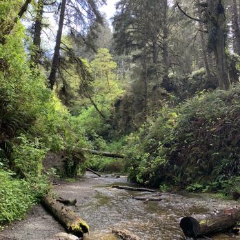 Fern Canyon Trailhead - Parks Near Me