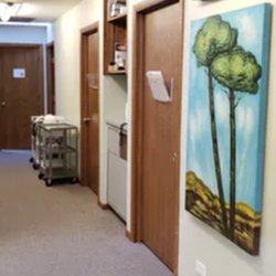 Homer Chiropractic