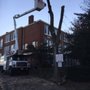 Photo of E & B Tree Care