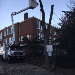 E & B Tree Care