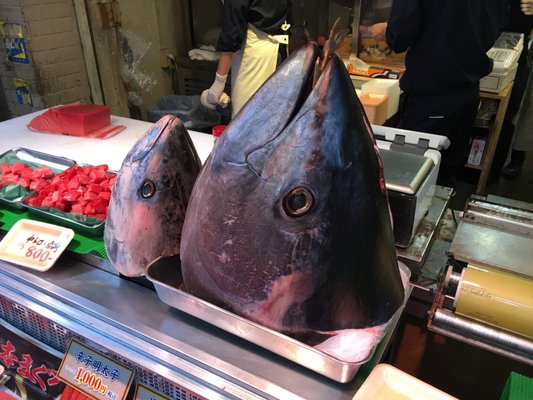 Tsukiji Outer Market by null