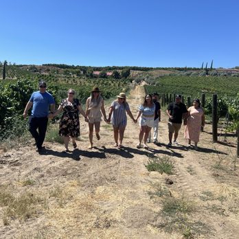 Grapeline Wine Tours - Wine Tours Near Me - Temecula, California