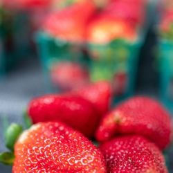 Sigona's Farmers Market - Sigona's Farmers Market