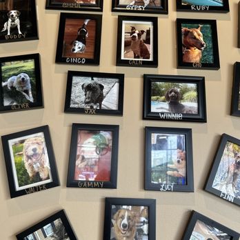 Felix's Pizza Pub - Dog and cat pictures everywhere. I like this place! - Pizza Near Me - St. Louis, Missouri Felix's Pizza Pub - Dog and cat pictures everywhere. I like this place! - Pizza Near Me - St. Louis, Missouri