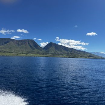 The Magic Merman Snorkel Charters - Whale Watching Tours Near Me - Kaanapali, Hawaii