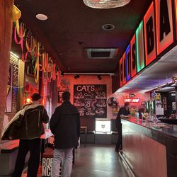 Cat's Hostel - Bar
