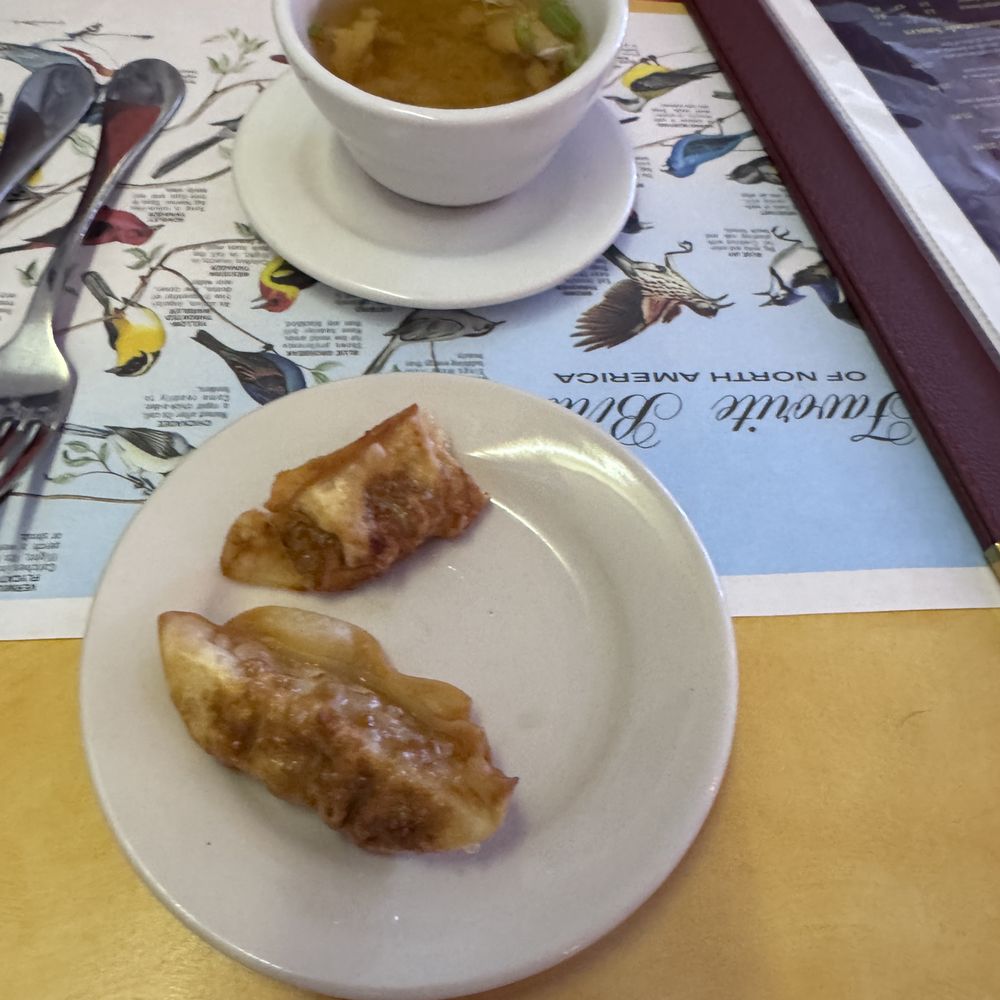 Thai Am - Gyoza and Chicken and Rice soup - Thai Near Me - Clearwater, Florida
