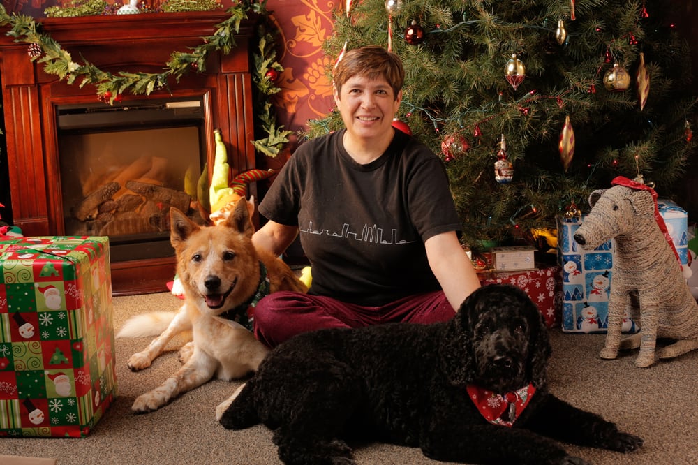 Good Citizen Dog Training - pet boarding facility in Fife, WA