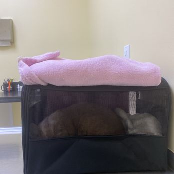 Fullerton Hills Pet Clinic - Veterinarians Near Me - Fullerton, California Fullerton Hills Pet Clinic - Veterinarians Near Me - Fullerton, California