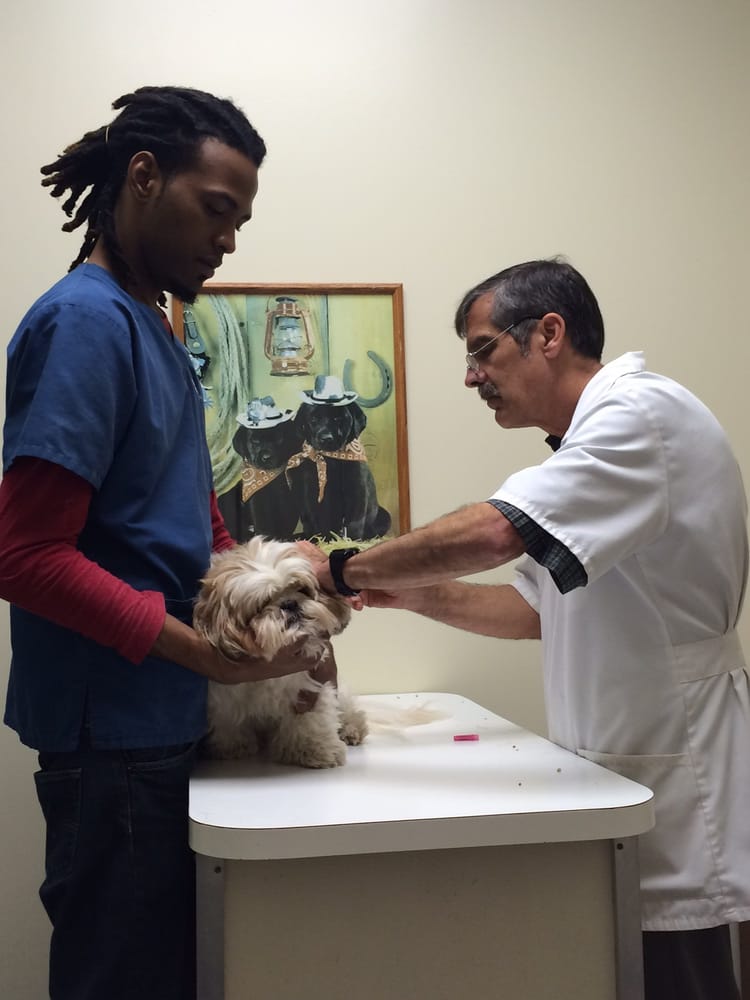 KIRKWOOD MEMORIAL ANIMAL CLINIC Updated September 2024 14015 Memorial Dr, Houston, Texas