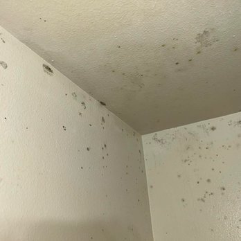Spring Mountain Apartments - Mold in the room - Apartments Near Me - Corning, California Spring Mountain Apartments - Mold in the room - Apartments Near Me - Corning, California