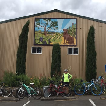 Ankeny Vineyard - Picturesque little winery - Wineries Near Me - Salem, Oregon