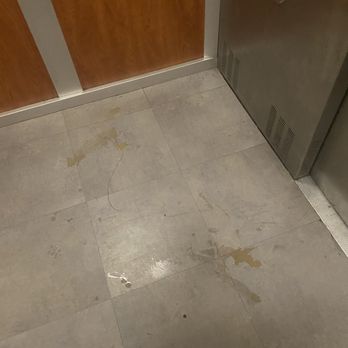 South Ridge - Coffee? Urine? Who knows! What you can bet on is that it will sit, dry, stick for days before enough complaints are made. Sold yet?! - Apartments Near Me - Greenville, South Carolina