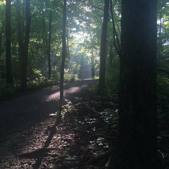 Charleston Falls Preserve - Beautiful morning walk - Parks Near Me - Tipp City, Ohio Charleston Falls Preserve - Beautiful morning walk - Parks Near Me - Tipp City, Ohio