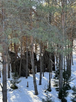 The Wild Center by null