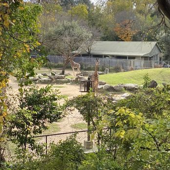 Cameron Park Zoo - Zoos Near Me - Waco, Texas Cameron Park Zoo - Zoos Near Me - Waco, Texas