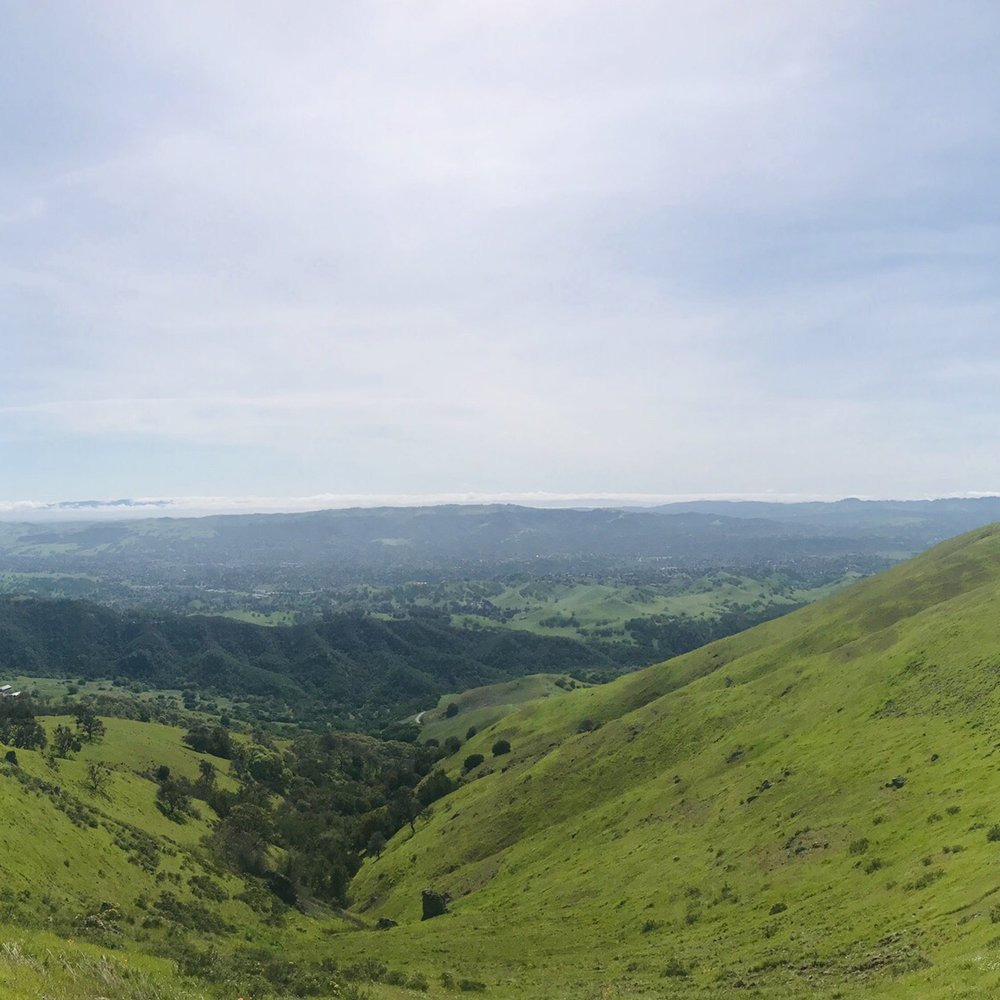 Mount Diablo State Park - April 2019 - Parks Near Me - Clayton, California