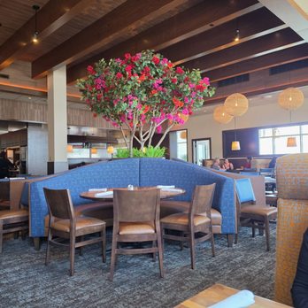 Seasons 52 - Inside - New American Near Me - Rancho Cucamonga, California Seasons 52 - Inside - New American Near Me - Rancho Cucamonga, California