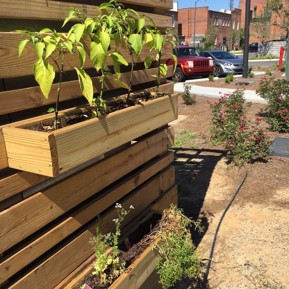 King Jefe Taco Bar - More herbs in King Jefe planters! - Tacos Near Me - Florence, South Carolina King Jefe Taco Bar - More herbs in King Jefe planters! - Tacos Near Me - Florence, South Carolina