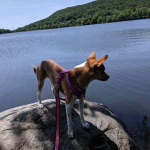 Totowa bait and tackle Clearance