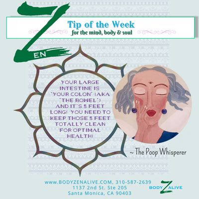 Body Z en Alive Colon Hydrotherapy by null