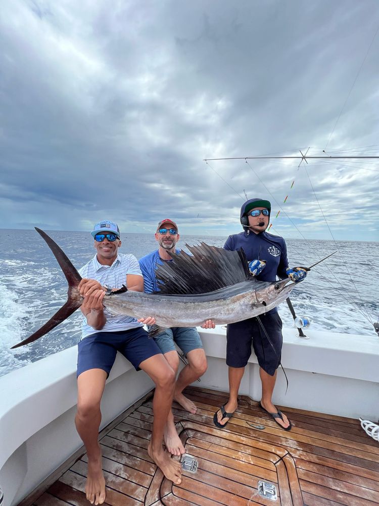 Salt Luxury Miami Logo